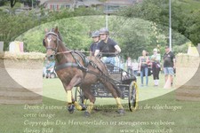 ref. photo 3237753