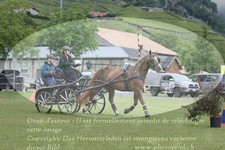 ref. photo 3237783