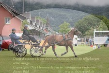 ref. photo 3237784