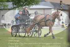 ref. photo 3237790