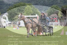 ref. photo 3237796