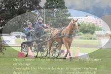 ref. photo 3237801