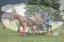 ref. photo 3237812