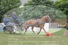 ref. photo 3237815