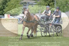 ref. photo 3237823