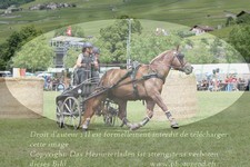 ref. photo 3237824
