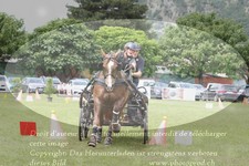 ref. photo 3237829