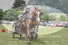 ref. photo 3237830