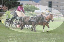 ref. photo 3237851