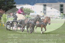 ref. photo 3237865