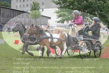 ref. photo 3237867