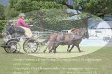 ref. photo 3237872