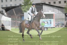 ref. photo 3237906