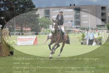 ref. photo 3237911