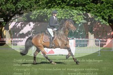 ref. photo 3237922
