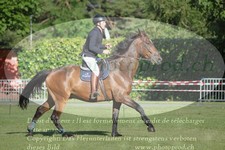 ref. photo 3237935