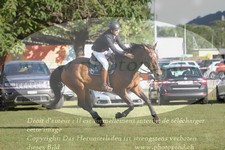 ref. photo 3237937