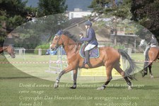 ref. photo 3237963