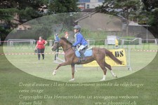 ref. photo 3237984