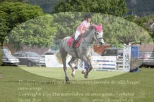 ref. photo 3238002