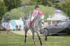 ref. photo 3238006