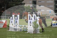 ref. photo 3238020