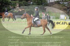 ref. photo 3238021