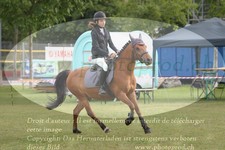 ref. photo 3238023