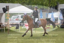 ref. photo 3238026