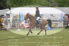 ref. photo 3238027