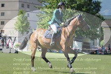 ref. photo 3238036