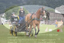 ref. photo 3238058