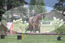 ref. photo 3238059