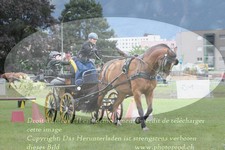 ref. photo 3238060