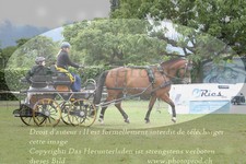 ref. photo 3238063