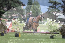 ref. photo 3238066