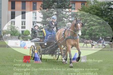ref. photo 3238069