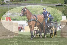 ref. photo 3238073