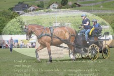 ref. photo 3238074