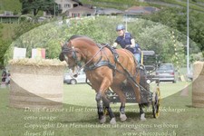 ref. photo 3238081