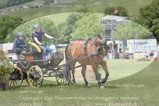 ref. photo 3238082