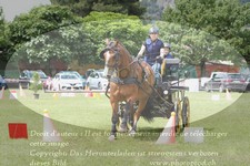 ref. photo 3238084