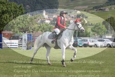 ref. photo 3238096