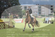 ref. photo 3238106