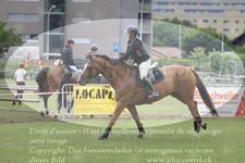 ref. photo 3238112