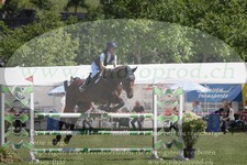 ref. photo 3238137
