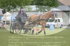 ref. photo 3238138