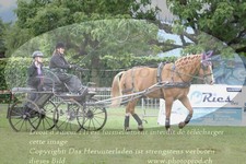 ref. photo 3238146
