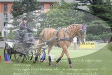 ref. photo 3238154