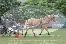 ref. photo 3238157